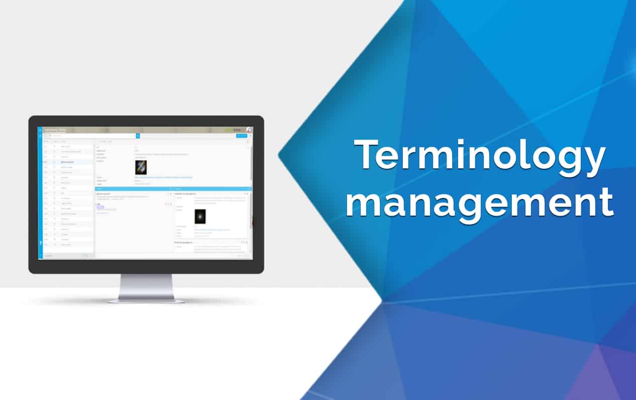 Detailed Terminology Management by Wordbee